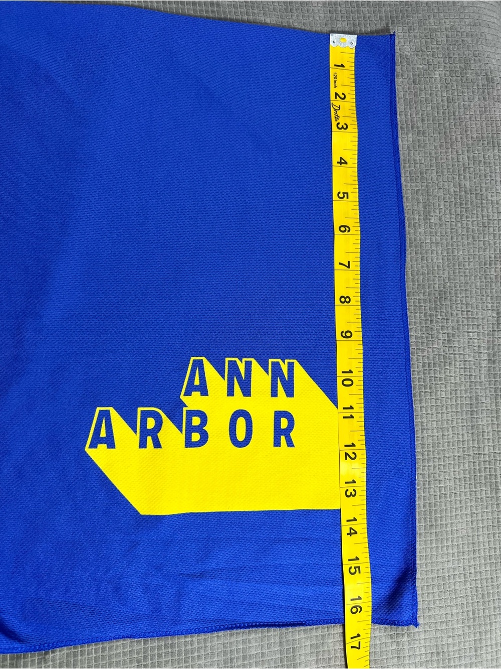 Ann Arbor Blue & Yellow Sports Towel / Rally Towel